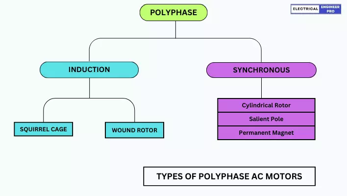 types poly