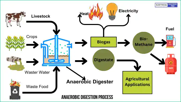 Anaerobic-Digestion 