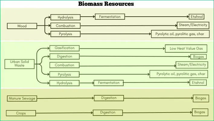 biomass-resource-example