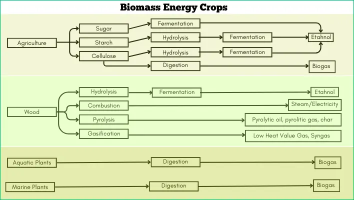 biomass-example