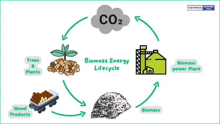 biomass-lifecycle