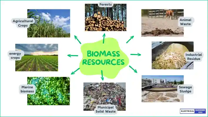 biomass-resources